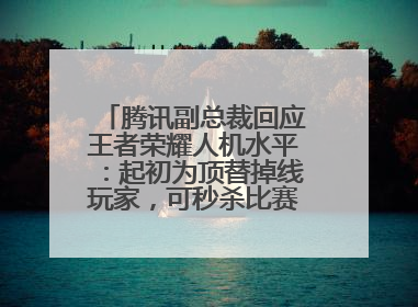 腾讯副总裁回应王者荣耀人机水平：起初为顶替掉线玩家，可秒杀比赛级玩家