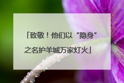 致敬！他们以“隐身”之名护羊城万家灯火