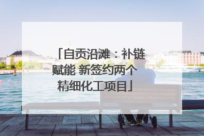 自贡沿滩：补链赋能 新签约两个精细化工项目