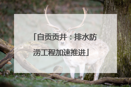 自贡贡井：排水防涝工程加速推进