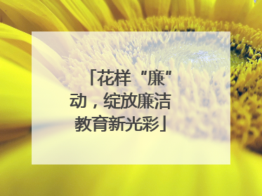 花样“廉”动，绽放廉洁教育新光彩