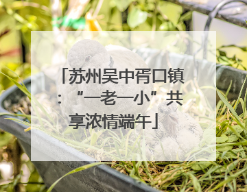 苏州吴中胥口镇：“一老一小”共享浓情端午