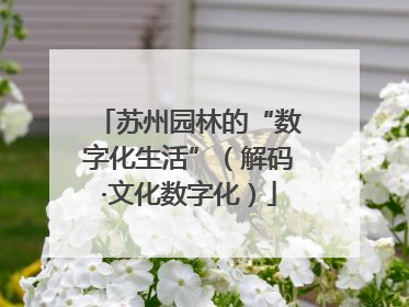 苏州园林的“数字化生活”（解码·文化数字化）