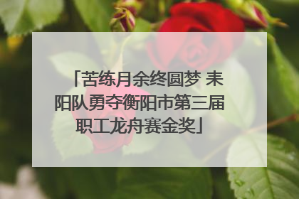 苦练月余终圆梦 耒阳队勇夺衡阳市第三届职工龙舟赛金奖