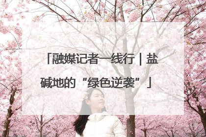融媒记者一线行｜盐碱地的“绿色逆袭”