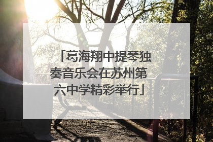 葛海翔中提琴独奏音乐会在苏州第六中学精彩举行