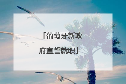 葡萄牙新政府宣誓就职