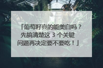 葡萄籽真的能美白吗？先搞清楚这 3 个关键问题再决定要不要吃！