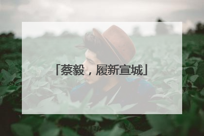 蔡毅，履新宣城