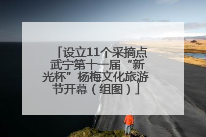 设立11个采摘点 武宁第十一届“新光杯”杨梅文化旅游节开幕（组图）