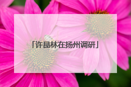 许昆林在扬州调研