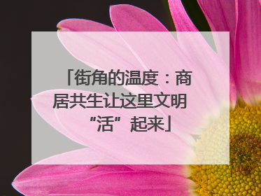 街角的温度：商居共生让这里文明“活”起来