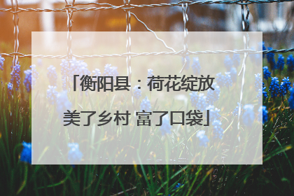 衡阳县：荷花绽放 美了乡村 富了口袋