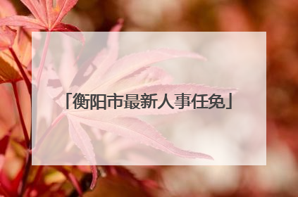 衡阳市最新人事任免