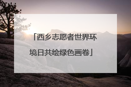 西乡志愿者世界环境日共绘绿色画卷