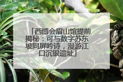 西博会眉山馆提前揭秘：可与数字苏东坡同屏吟诗，漫游江口沉银遗址