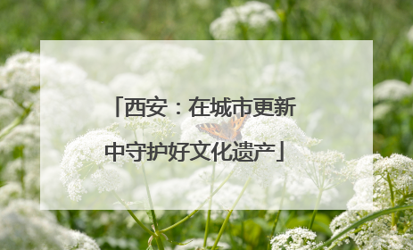 西安：在城市更新中守护好文化遗产