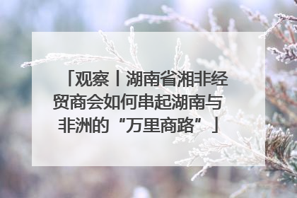 观察丨湖南省湘非经贸商会如何串起湖南与非洲的“万里商路”