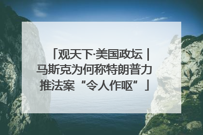 观天下·美国政坛｜马斯克为何称特朗普力推法案“令人作呕”