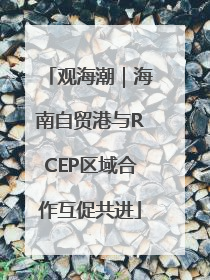 观海潮｜海南自贸港与RCEP区域合作互促共进