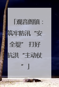 观音阁镇：筑牢防汛“安全堤” 打好抗洪“主动仗”