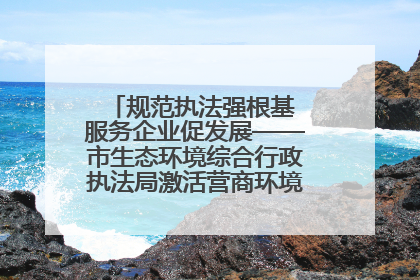规范执法强根基 服务企业促发展——市生态环境综合行政执法局激活营商环境“绿色动能”