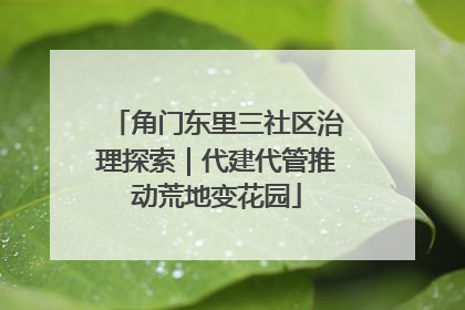 角门东里三社区治理探索｜代建代管推动荒地变花园