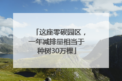 这座零碳园区，一年减排量相当于种树30万棵