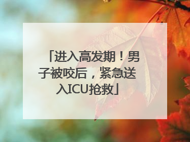 进入高发期！男子被咬后，紧急送入ICU抢救