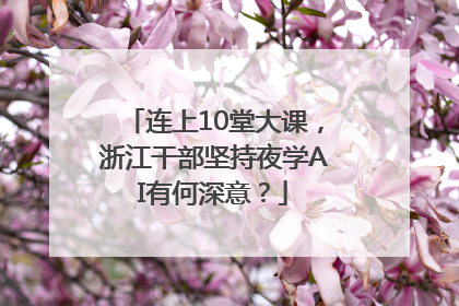 连上10堂大课，浙江干部坚持夜学AI有何深意？