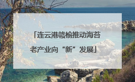 连云港赣榆推动海苔老产业向“新”发展