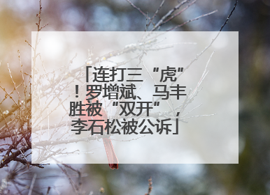 连打三“虎”！罗增斌、马丰胜被“双开”，李石松被公诉