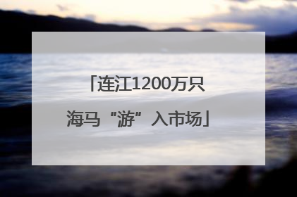 连江1200万只海马“游”入市场