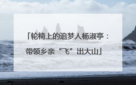轮椅上的追梦人杨淑亭：带领乡亲“飞”出大山