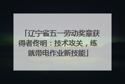辽宁省五一劳动奖章获得者佟明：技术攻关，练就带电作业新技能