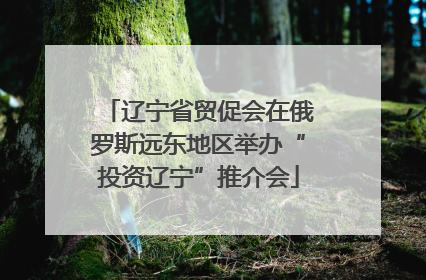 辽宁省贸促会在俄罗斯远东地区举办“投资辽宁”推介会