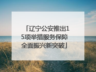 辽宁公安推出15项举措服务保障全面振兴新突破