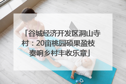 谷城经济开发区洞山寺村：20亩桃园硕果盈枝 奏响乡村丰收乐章