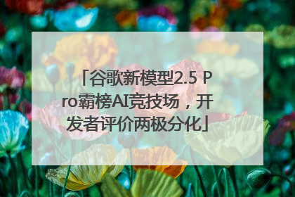 谷歌新模型2.5 Pro霸榜AI竞技场，开发者评价两极分化