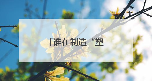 谁在制造“塑料茅台”？