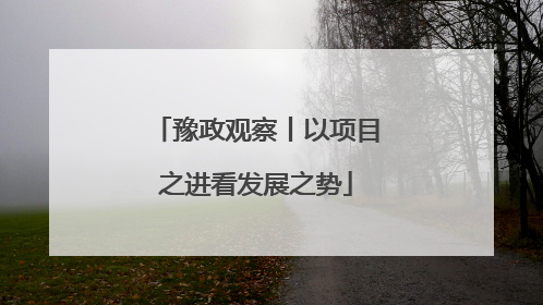 豫政观察丨以项目之进看发展之势
