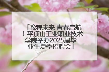 豫荐未来 青春启航！平顶山工业职业技术学院举办2025届毕业生夏季招聘会