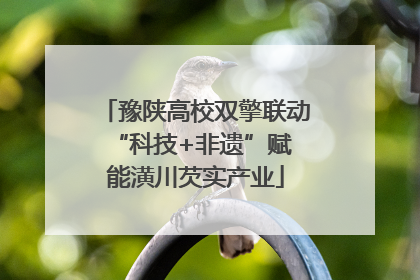豫陕高校双擎联动 “科技+非遗”赋能潢川芡实产业