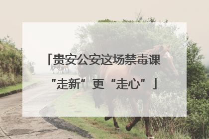 贵安公安这场禁毒课“走新”更“走心”