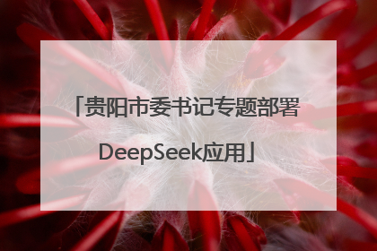 贵阳市委书记专题部署DeepSeek应用