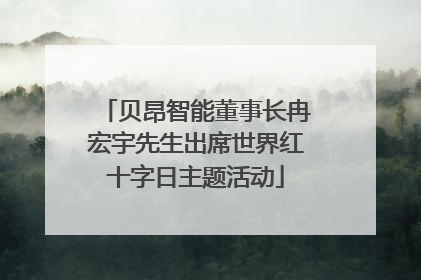 贝昂智能董事长冉宏宇先生出席世界红十字日主题活动
