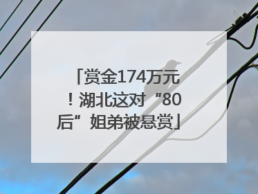 赏金174万元！湖北这对“80后”姐弟被悬赏
