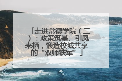 走进常德学院（三）：政策筑基、引凤来栖，锻造校城共享的“双师铁军”