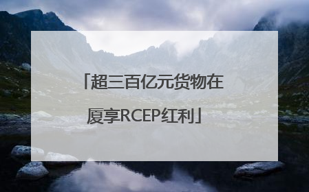 超三百亿元货物在厦享RCEP红利