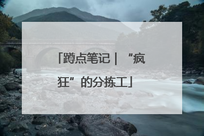 蹲点笔记｜“疯狂”的分拣工